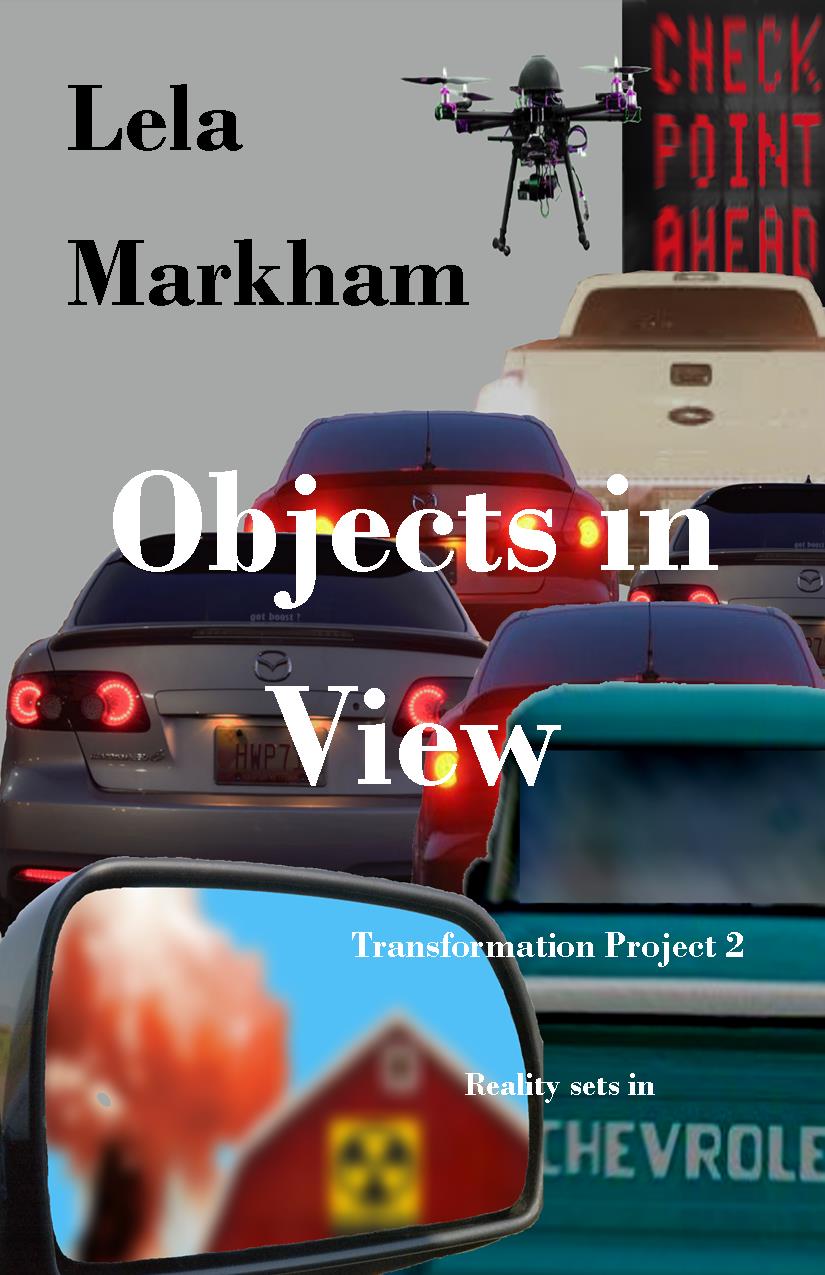 Objects in View Front Cover