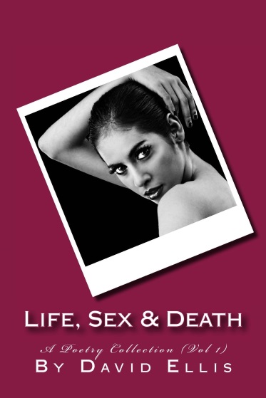 d-ellis-life_sex__death___cover_for_kindle